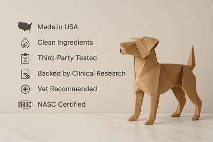 Joint Health Supplement for Dogs