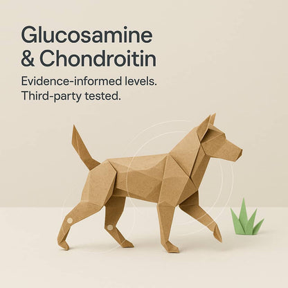 Joint Health Supplement for Dogs